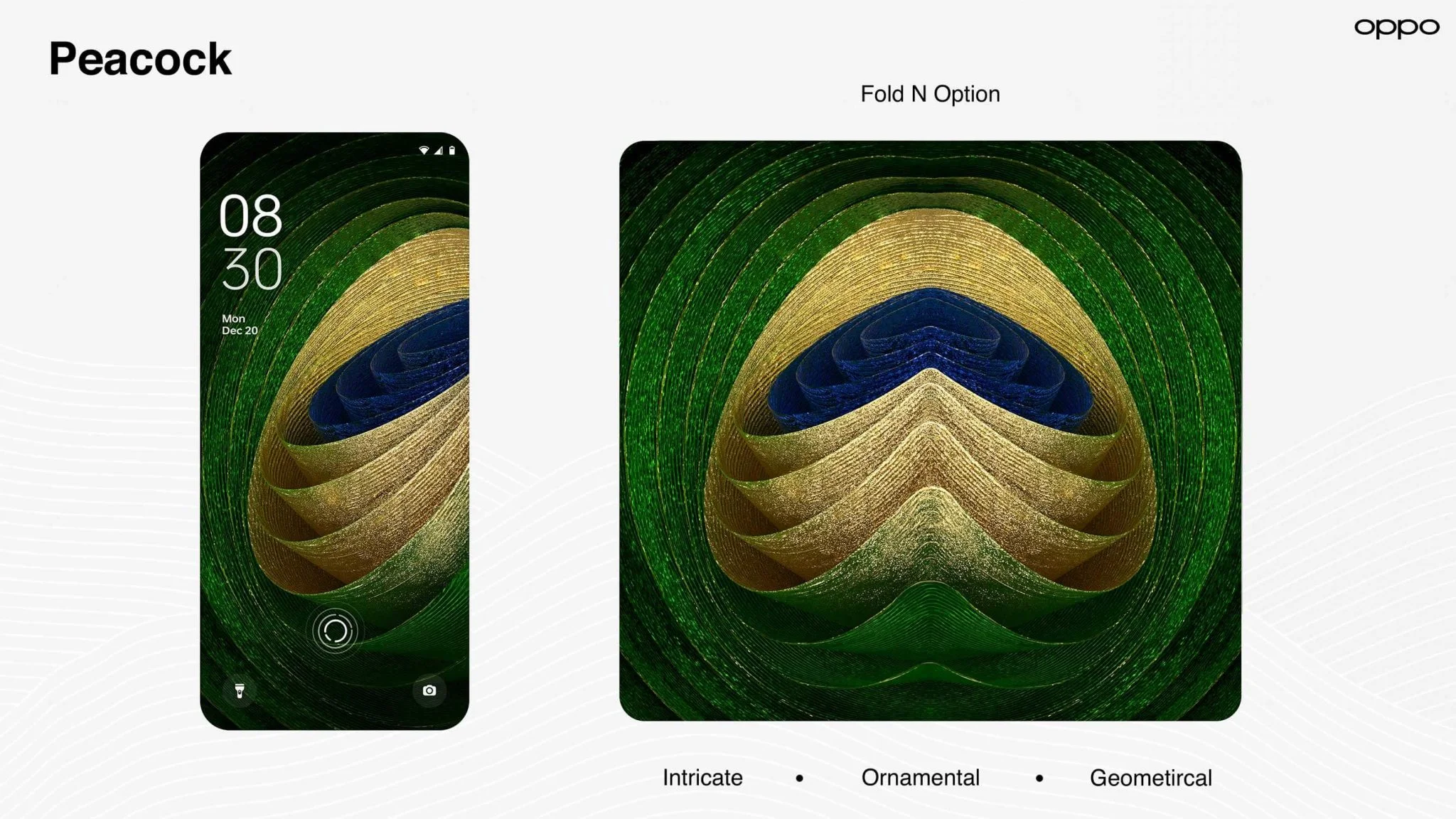 Peacock 3D illustration