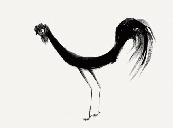Rooster illustration